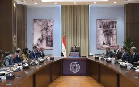 رئيس الوزراء يستعرض مشروعا مقترحا لإنتاج الهيدروجين والأمونيا الخضراء بخليج السويس