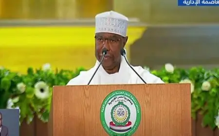 الأمين العام لمنظمة التعاون الإسلامى: تهجير الفلسطينيين تطهير عرقى وجريمة حرب