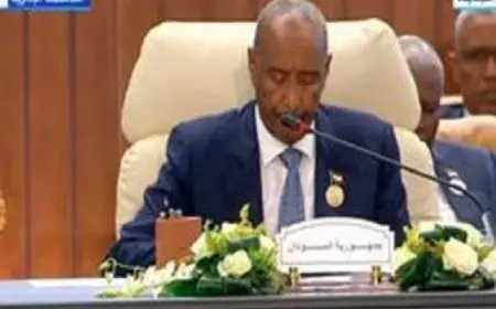 البرهان: القضية الفلسطينية تظل القضية المركزية الأولى للدول العربية