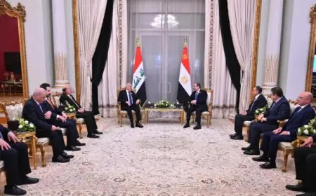 الرئيس السيسى يؤكد لنظيره العراقى استعداد مصر للانخراط فى جهود التنمية بالعراق