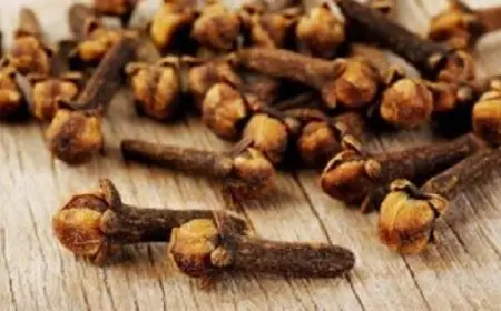 مضغ القرنفل بعد الإفطار والسحور يخلصك من الحموضة