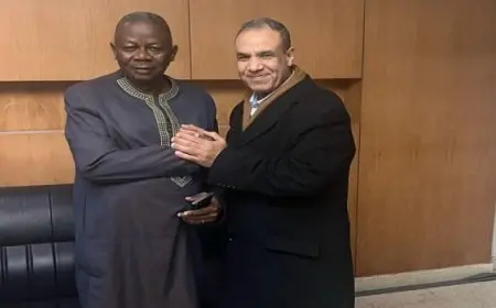 وزير الخارجية يؤكد حرص مصر على تعزيز التعاون مع الأشقاء فى جمهورية الكونغو