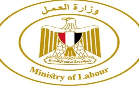وزارة العمل: 960 فرصة عمل بـ49 شركة قطاع خاص في 10 محافظات