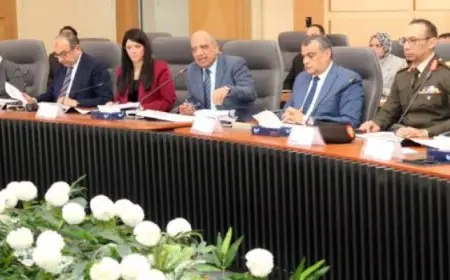 “الأعلى للطاقة” يوافق على توفير الطاقة لـ 14 مشروعًا صناعيًا جديدًا