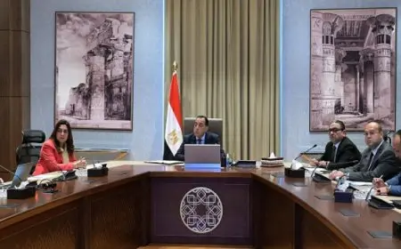 رئيس الوزراء يُتابع الموقف التنفيذى لمشروع امتداد محور الفريق كمال عامر