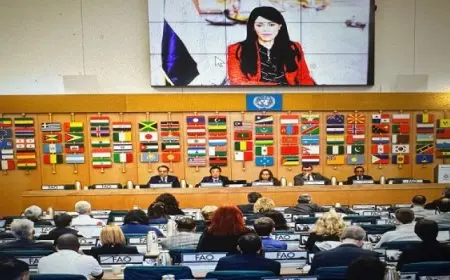 المشاط تشارك فى مؤتمر التقييم متعدد الأبعاد لدفع التقدم نحو أهداف التنمية المستدامة