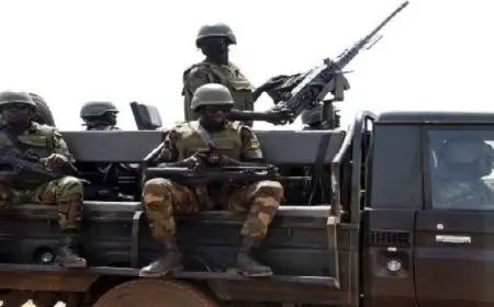 السلطات التوجولية تمدد حالة الطوارئ لمدة 12 شهرًا في منطقة سافانا