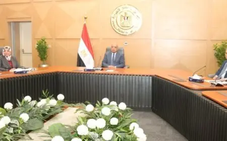 وزير الكهرباء: نحرص على اتاحة الكهرباء بجودة واستمرارية لكافة الاستخدامات