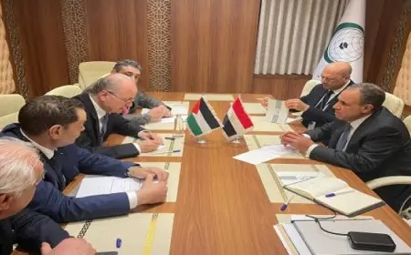 وزير الخارجية يؤكد العمل خلال الفترة المقبلة على حشد الدعم الدولى لتنفيذ الخطة العربية لإعادة إعمار وتنمية غزة