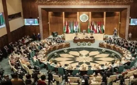 دمشق ترحب بقرار استعادة عضوية سوريا في منظمة التعاون الإسلامى