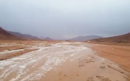 وزير الرى يتابع موقف العاصفة المطيره التى تعرضت لها محافظة جنوب سيناء