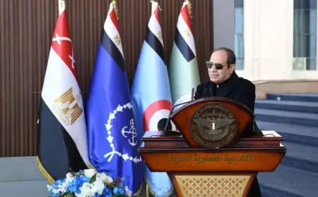 الرئيس السيسى: مصر تستهدف تهدئة الصراعات وتميل دائما إلى خيار السلام