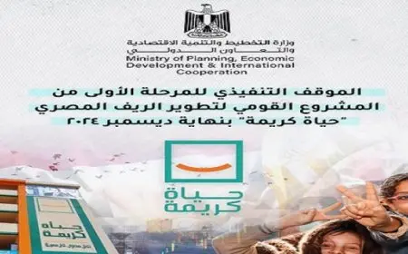 المشاط تستعرض الموقف التنفيذى للمشروع القومى لتطوير الريف المصرى