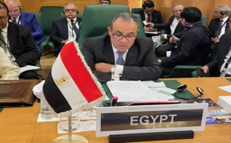 مصر تناشد العالم الإسلامى الاضطلاع بدوره إزاء عملية إعادة إعمار غزة