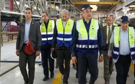 وزير قطاع الأعمال: الدولة تعمل على توفير كل السبل اللازمة لتعزيز القدرة التنافسية لشركة “النصر للسيارات”