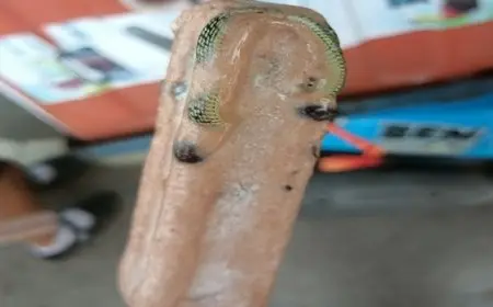 مفاجأة مرعبة.. آيس كريم بطعم “الثعبان الأصفر”