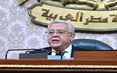 رئيس النواب يحيل مشروعى قانونين بشأن هيئة الشرطة والكهرباء للجان المختصة