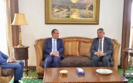 وزير الخارجية والهجرة يؤكد أهمية الدور المحوري والوطني الذي يضطلع به الإعلام المصري