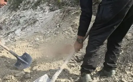 اكتشاف مقبرة جماعية فى اللاذقية لعناصر من الأمن والشرطة السورية