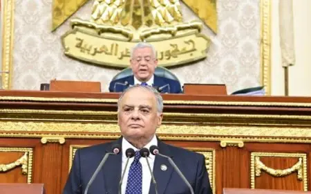 النواب يوافق على اتفاقية نقل المحكوم عليهم بعقوبات “سالبة للحرية” بين مصر والإمارات