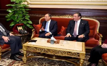 وزير الخارجية والهجرة يلتقى مع رئيس مجلس الشيوخ