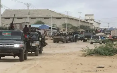 مقتل 20 من عناصر الشباب بينهم قيادى فى غارة جوية جنوبى الصومال