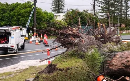 استمرار انقطاع الكهرباء عن أكثر من 200 ألف منزل باستراليا بعد مرور إعصار ألفريد