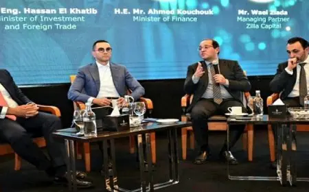 وزير المالية: نُراهن على تنامى وزيادة دور القطاع الخاص فى الاقتصاد المصرى