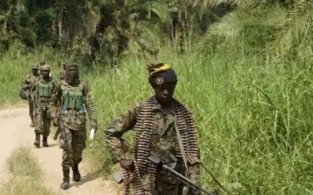 الكونغو الديمقراطية: حركة 23 مارس تواصل تقدمها وتسيطر على مدينة جديدة بإقليم “ماسيسى”