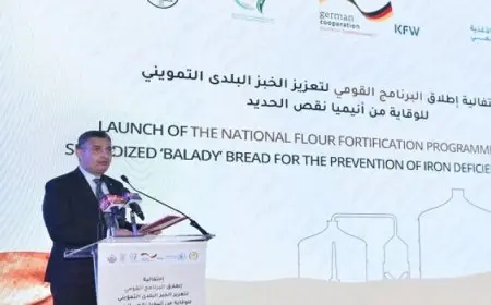 “التموين”: برنامج “الخبز المدعم للوقاية من الأنيميا” يعكس التزام الدولة بتطبيق سياسات غذائية متطورة