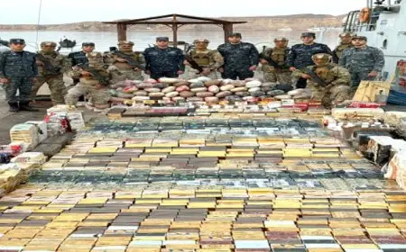 القوات البحرية تنجح في إحباط محاولة تهريب كميات من المخدرات عبر البحر الأحمر
