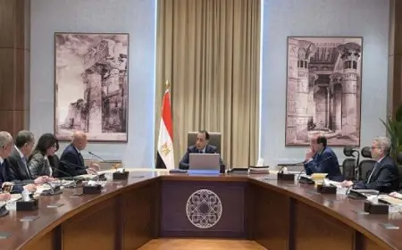 مدبولى: مهتمون بملف تطوير المنظومة الجمركية كخطوة ضرورية لتعزيز تنافسية الصادرات الوطنية