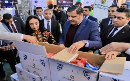 وزيرة التضامن تتفقد مراكز توزيع طعام في الوراق .. وتعلن مبادرة”بيوت المحروسة “