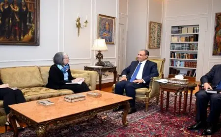 وزير الخارجية يشدد على ضرورة اضطلاع المجتمع الدولى بدوره لإنهاء الكارثة الإنسانية بغزة