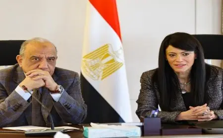 المشاط تبحث مع وزير الكهرباء الخطة الاستثمارية لقطاع الكهرباء والطاقة المتجددة للعام المالى الجديد 25-2026