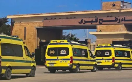 ميناء رفح يستقبل 14 مصابا و20 مرافقا فلسطينيا قادمين من غزة