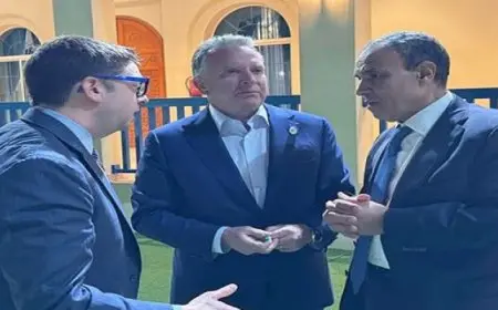 المبعوث الأمريكي للشرق الأوسط يشيد خلال لقاء عبدالعاطي بجهود مصر لتحقيق السلام