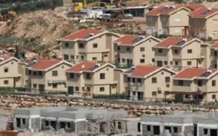 الجيش الإسرائيلي يُصدر قرارًا بإقامة مستوطنة جنوب الخليل