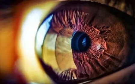 دراسة تكشف تغير حجم بؤبؤ العين أثناء النوم