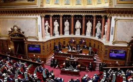 البرلمان الفرنسى يدعو إلى مصادرة الأصول الروسية المجمدة لدعم أوكرانيا