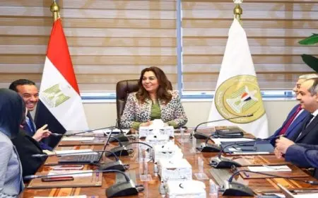وزيرة التنمية المحلية تتابع مع وفد برنامج الأمم المتحدة للمستوطنات البشرية ملفات التعاون المشترك