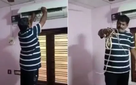 العثور على ثعبان وصغاره داخل جهاز تكييف