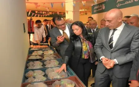 وزيرا التضامن الاجتماعى والتربية والتعليم يزوران مقر بنك الطعام المصرى