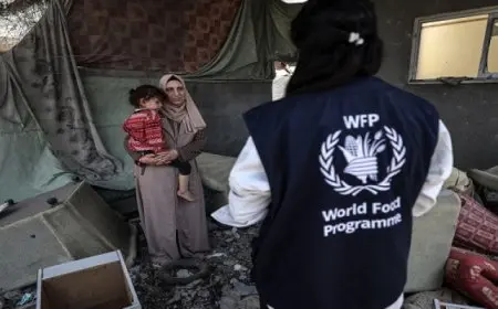 برنامج الأغذية العالمى يحذر من تزايد انعدام الأمن الغذائى فى الضفة الغربية