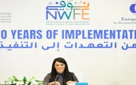 المشاط: 6.7 مليار جنيه استثمارات عامة بخطة 2025-2024 لربط 4 مشروعات طاقة متجددة