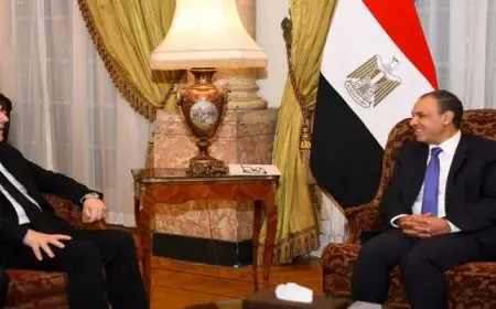 عبد العاطى يعرب عن التطلع لدعم برنامج الأمم المتحدة الإنمائى لتنفيذ الخطة العربية لإعمار غزة