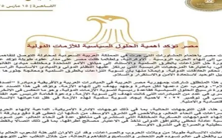 مصر تؤكد أهمية الحلول السياسية لإنهاء الحروب والصراعات فى أنحاء العالم