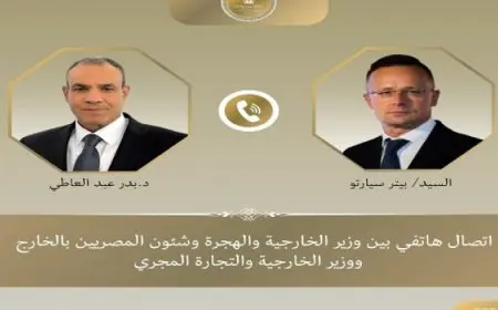 وزير الخارجية والهجرة يبحث مع نظيره المجرى العلاقات الثنائية والخطة العربية لإعمار غزة