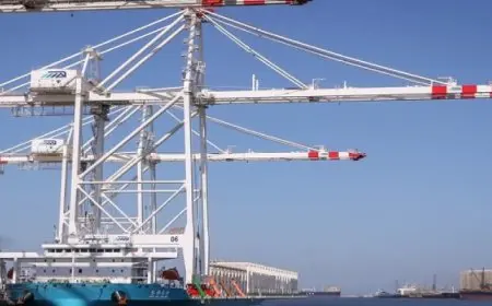 ميناء دمياط يستقبل دفعة جديدة من أوناش الرصيف العملاقة لمحطة الحاويات (تحيا مصر 1)