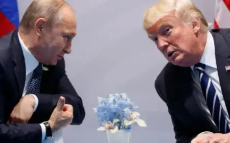 ترامب وبوتين يبحثان هاتفيا قضية الأراضى والسيطرة على المحطات النووية فى أوكرانيا